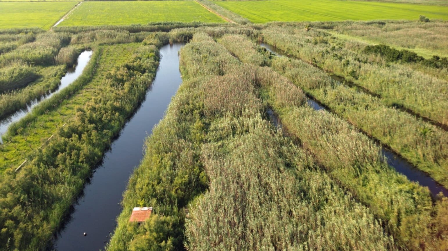 Building Plot for sale in Pego - € 22,000 (Ref: 9265627)