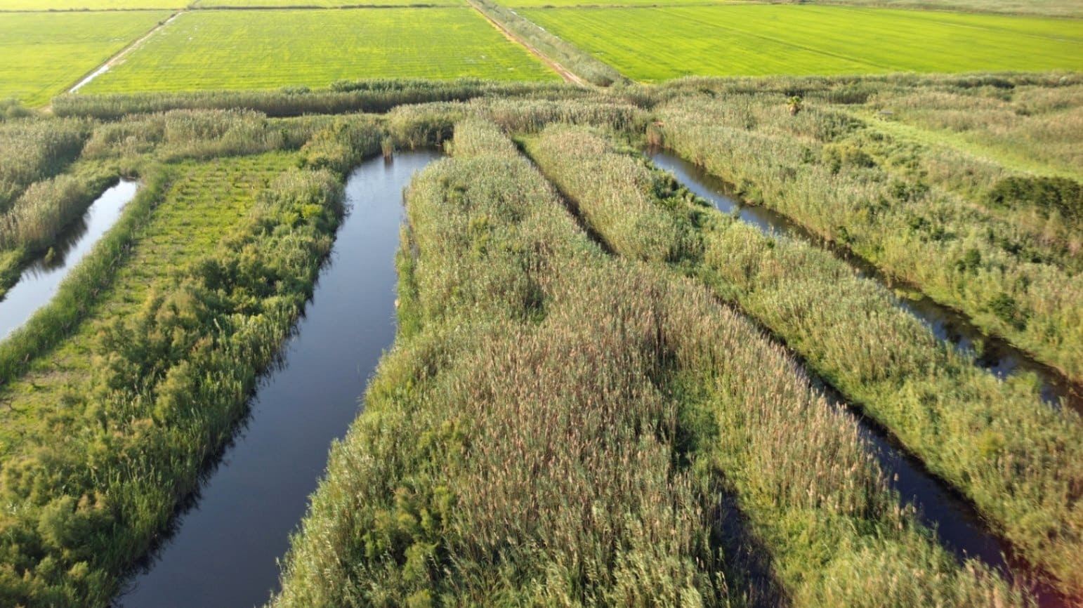 Building Plot for sale in Pego - € 22,000 (Ref: 9265627)