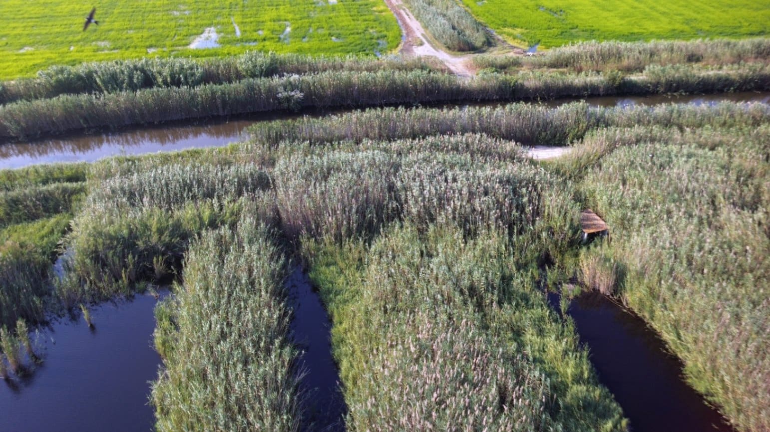 Building Plot for sale in Pego - € 22,000 (Ref: 9265627)