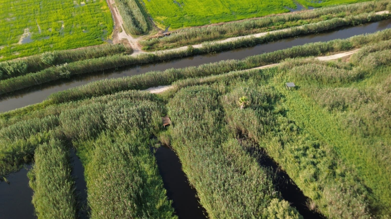 Building Plot for sale in Pego - € 22,000 (Ref: 9265627)