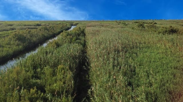 Building Plot for sale in Pego - € 22,000 (Ref: 9265627)