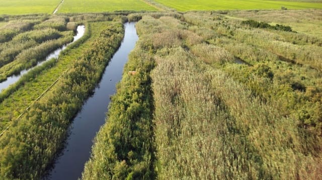 Building Plot for sale in Pego - € 22,000 (Ref: 9265627)