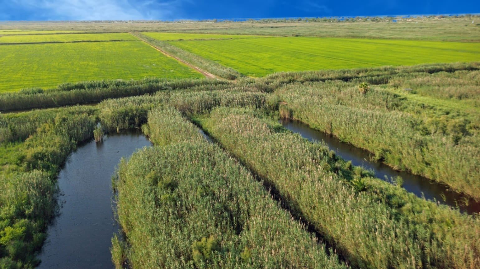 Building Plot for sale in Pego - € 22,000 (Ref: 9265627)