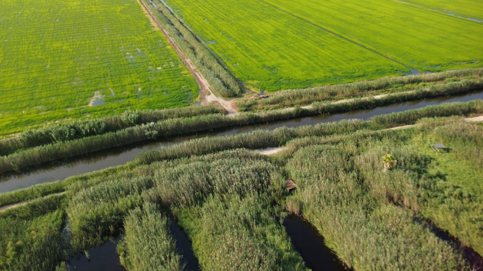 Building Plot for sale in Pego - € 22,000 (Ref: 9265627)