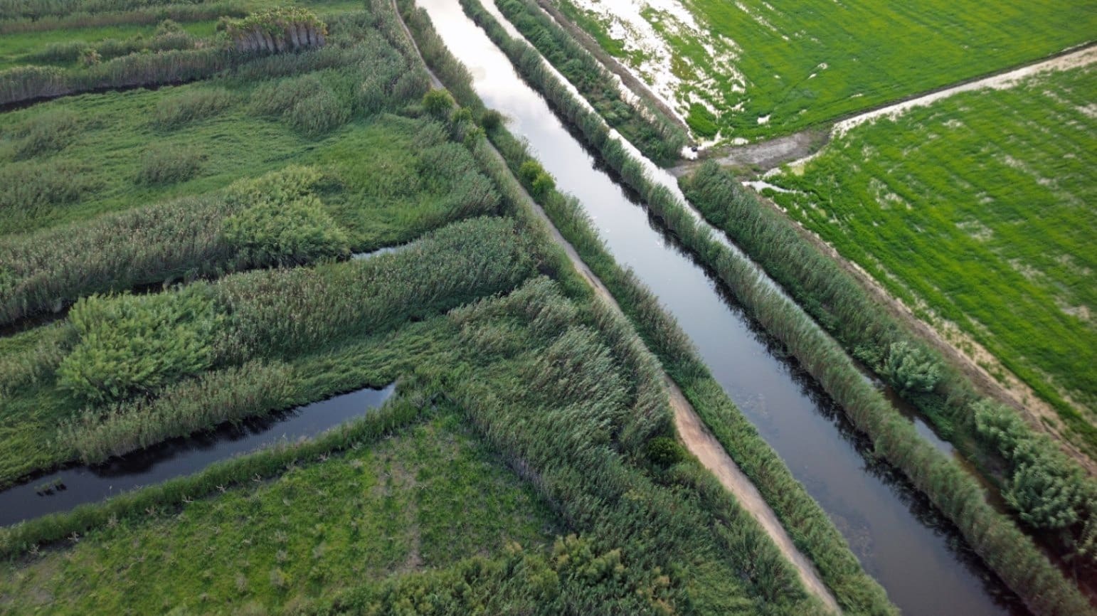 Building Plot for sale in Pego - € 22,000 (Ref: 9265627)