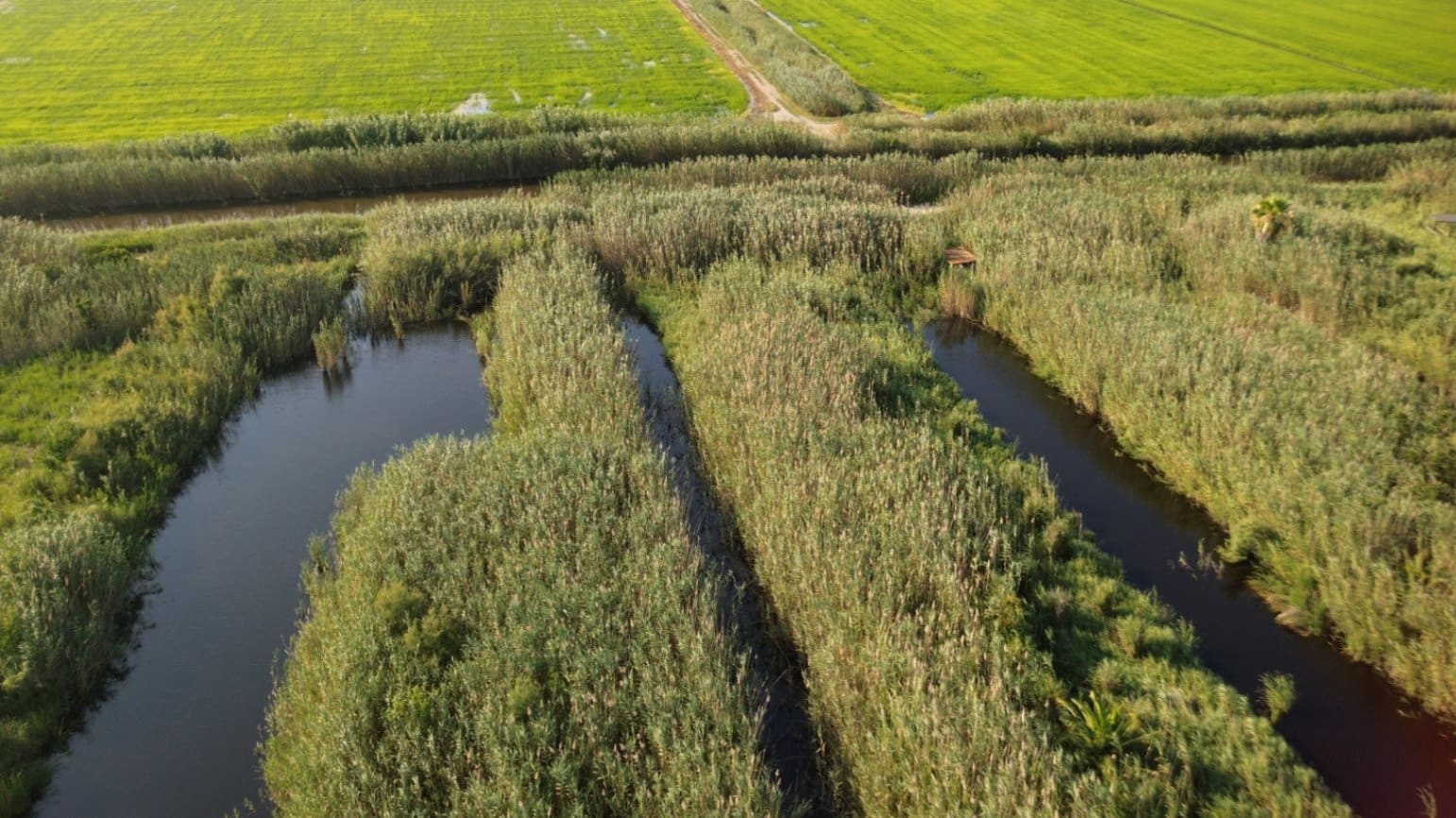 Building Plot for sale in Pego - € 22,000 (Ref: 9265627)