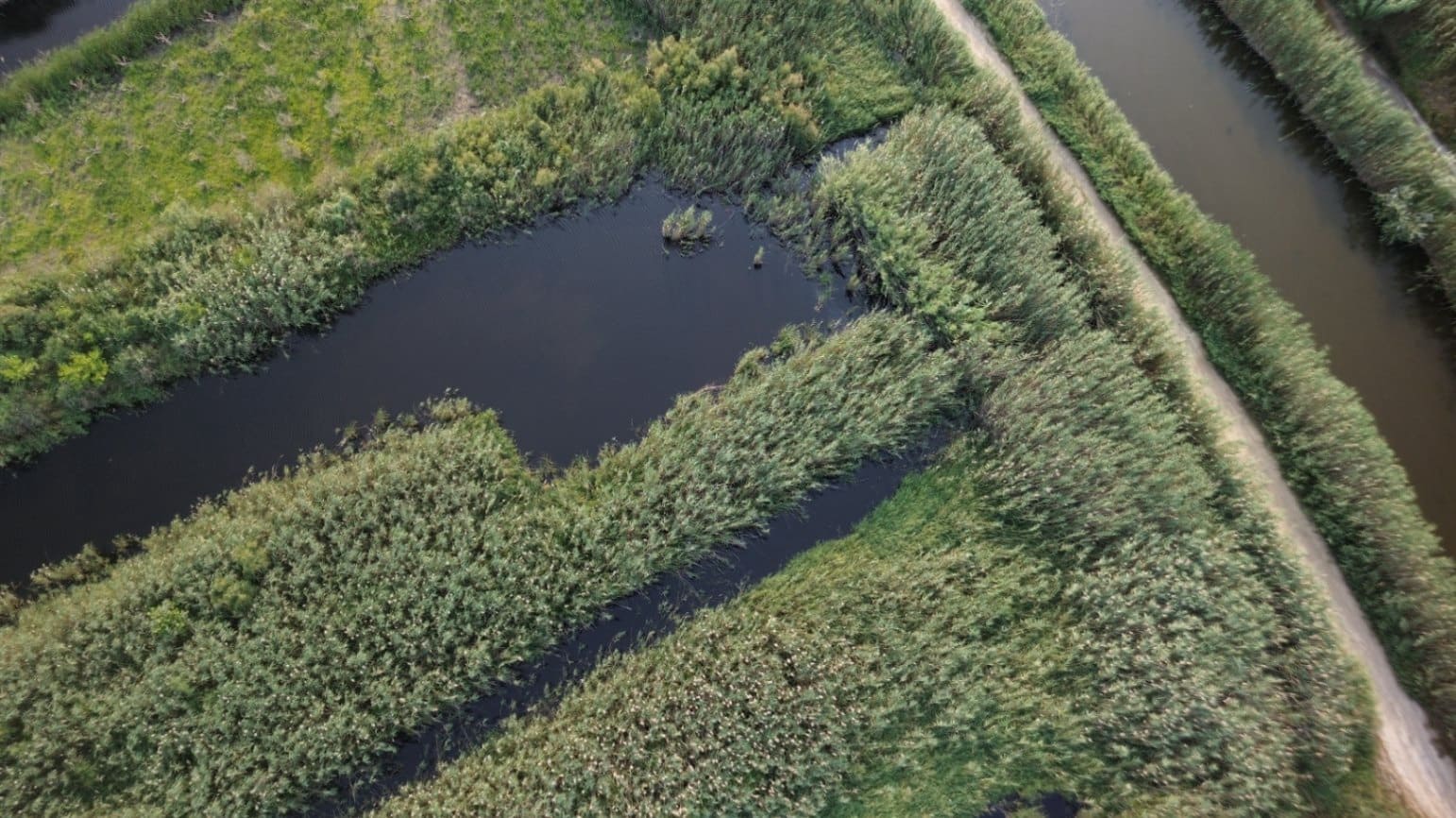 Building Plot for sale in Pego - € 22,000 (Ref: 9265627)