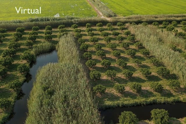 Building Plot for sale in Pego - € 22,000 (Ref: 9265627)