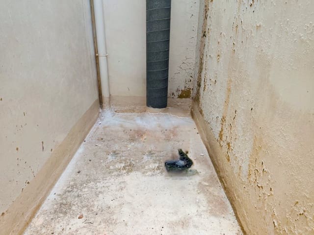 Lägenhet till salu i Pego - 72 800 € (Ref: 9295897)