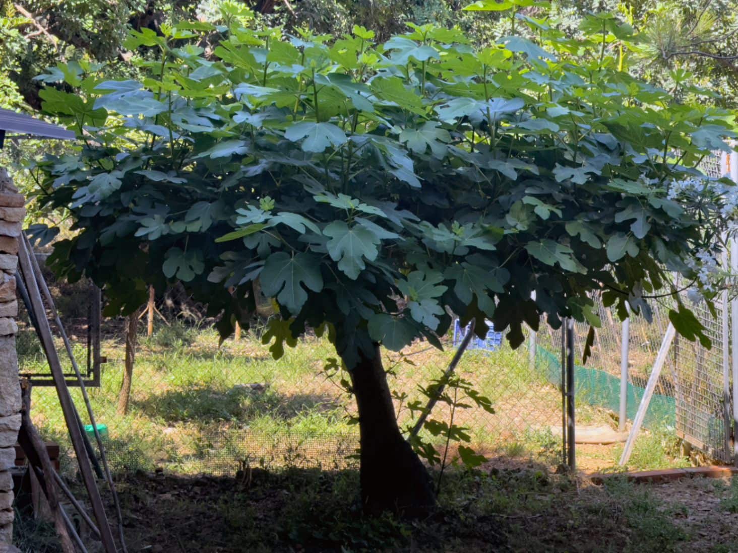 4 sovrum Villa till salu i Pego - 950 000 € (Ref: 9306222)