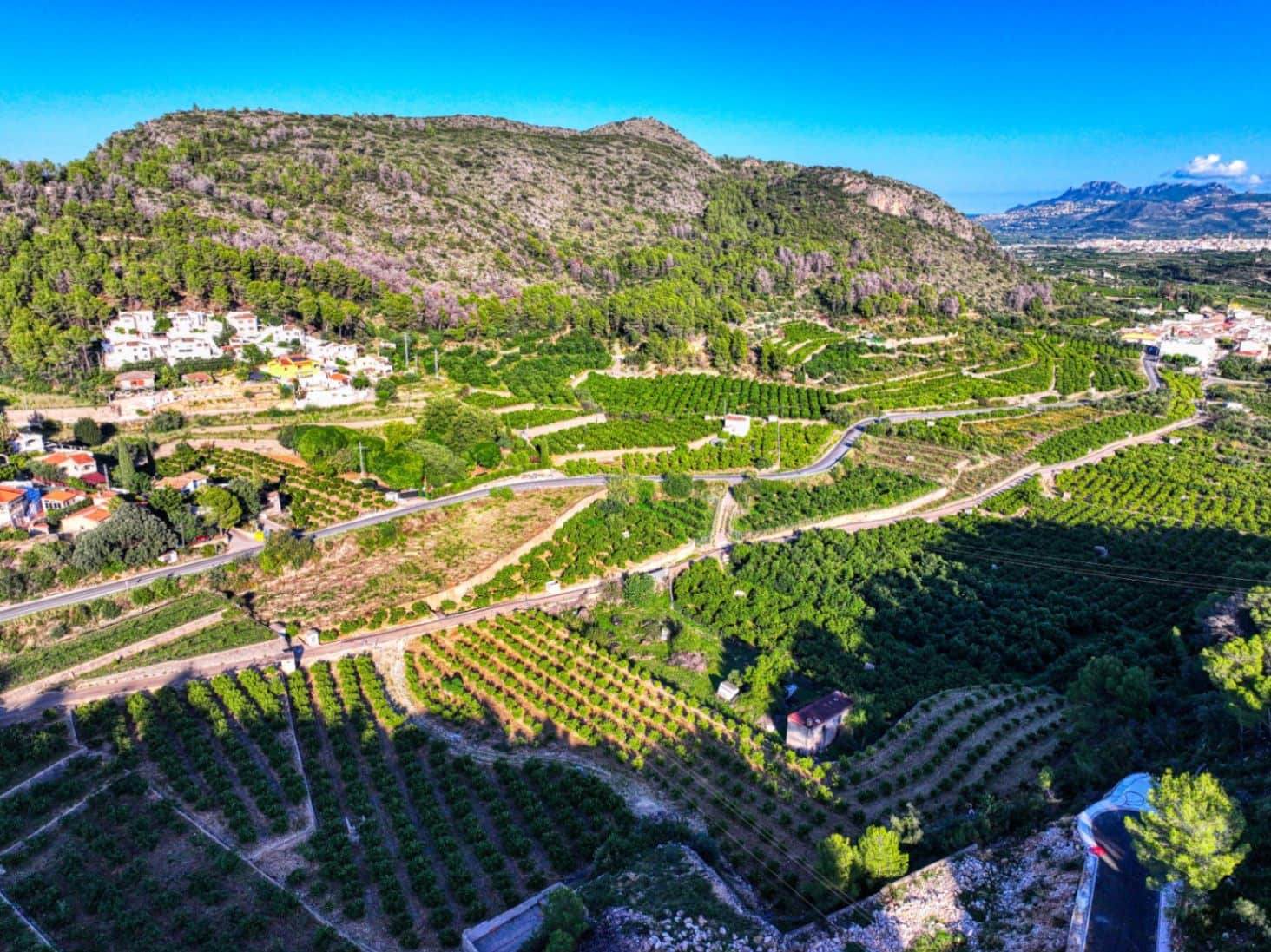 2 bedroom Apartment for rent in L'Atzuvia - € 800 (Ref: 9347747)