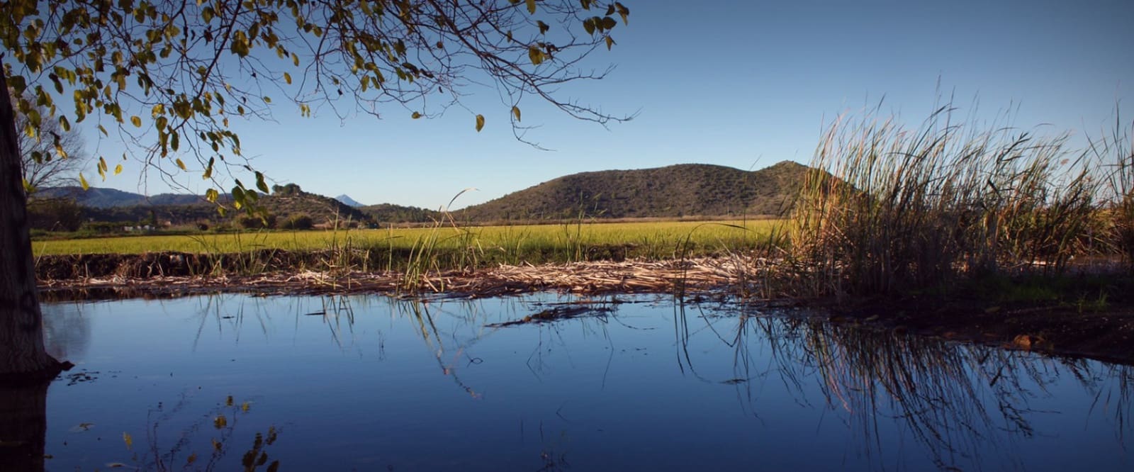 Tontti myytävänä paikassa Pego - 35 000 € (Ref: 9347748)