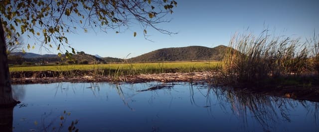 Area Edificabile in vendita in Pego - 35.000 € (Rif: 9347748)