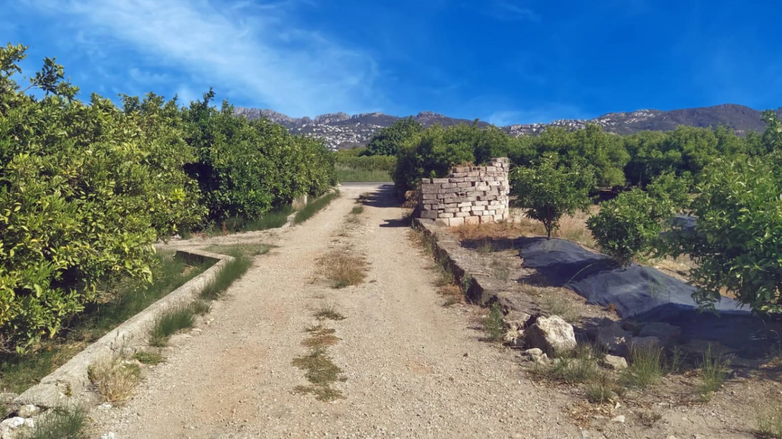 Tontti myytävänä paikassa Pego - 35 000 € (Ref: 9347748)