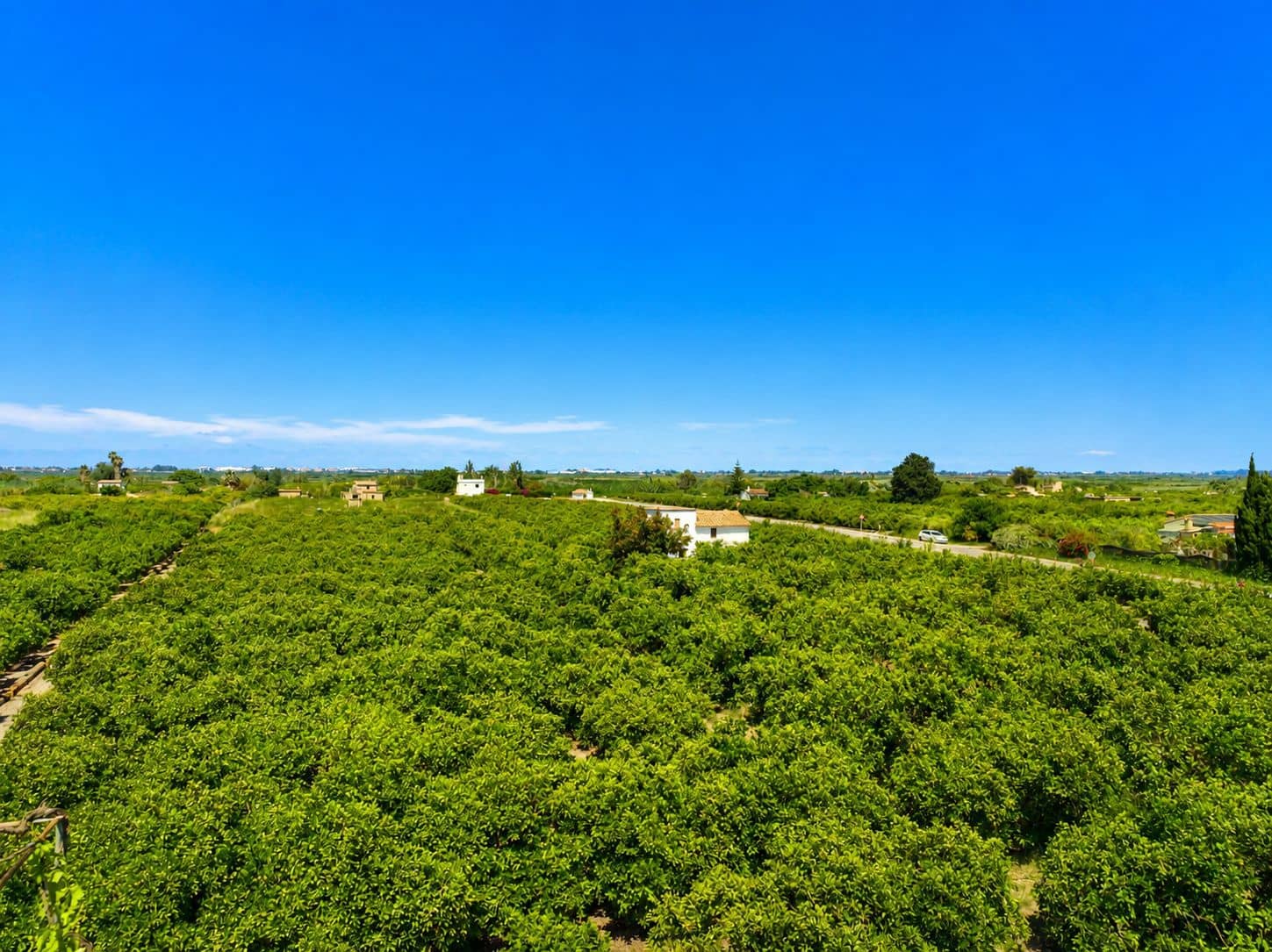 Building Plot for sale in Pego - € 36,000 (Ref: 9347748)