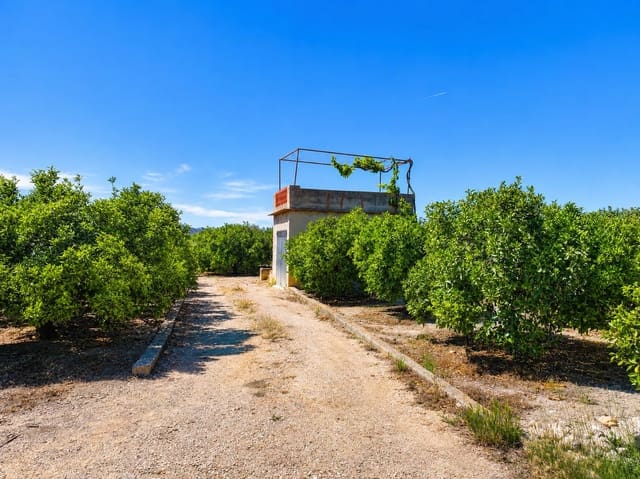 Solar/Parcela en Pego en venta - 36.000 € (Ref: 9347748)