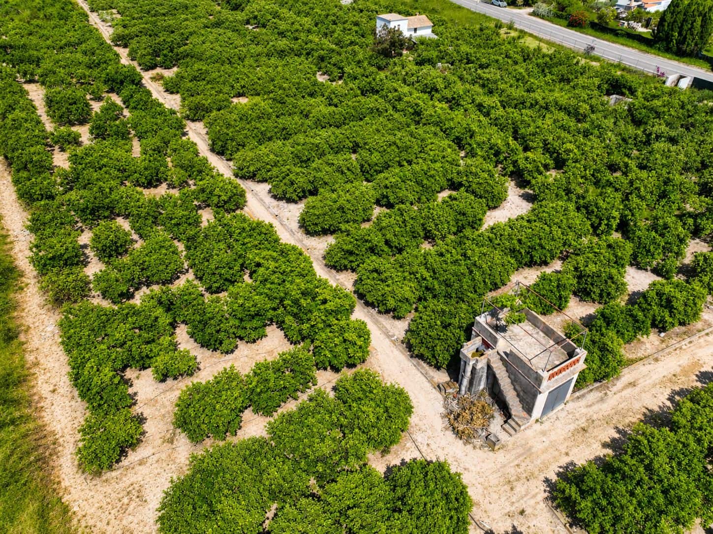 Building Plot for sale in Pego - € 36,000 (Ref: 9347748)