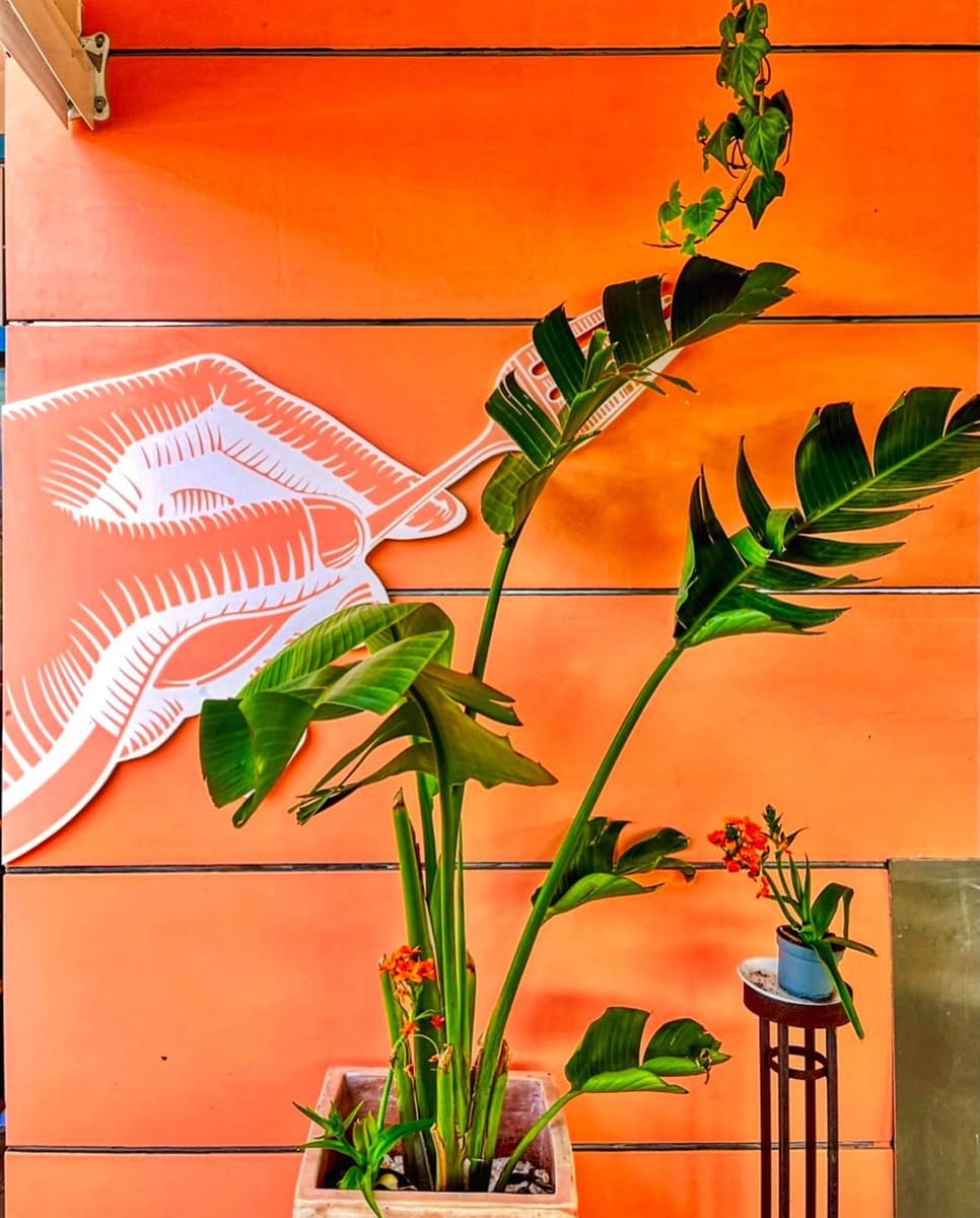 Local Commercial à vendre à Denia avec garage - 295 000 € (Ref: 9349840)