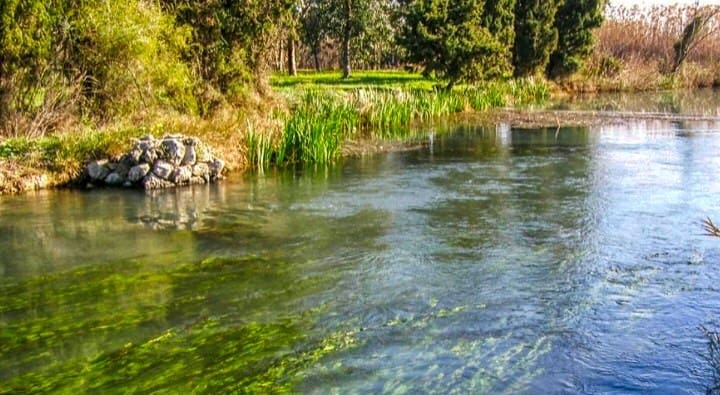 Tomt till salu i Pego - 55 000 € (Ref: 9393446)