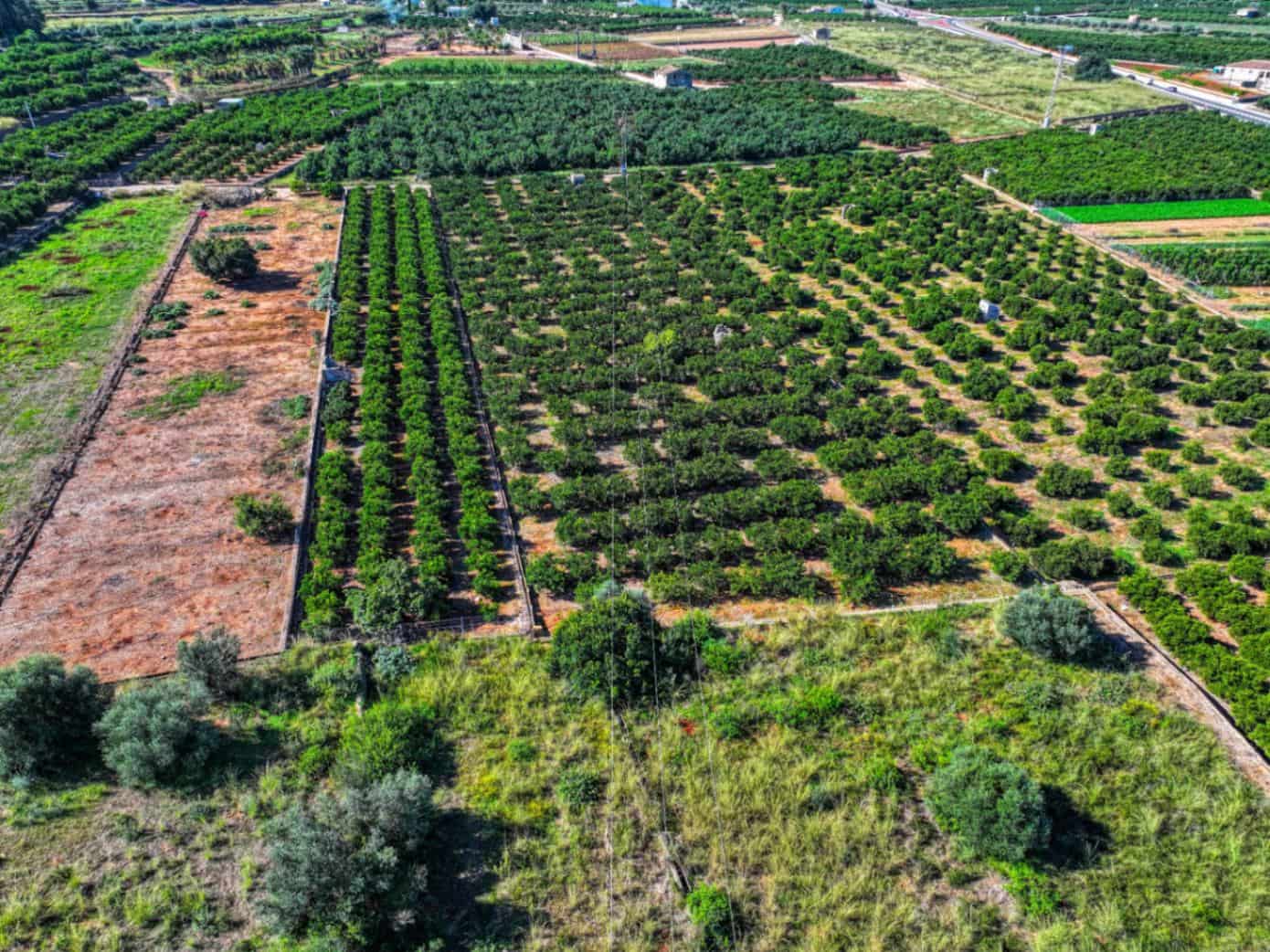 Finca/Landehus til salg i Pego - € 69.000 (Ref: 9399651)