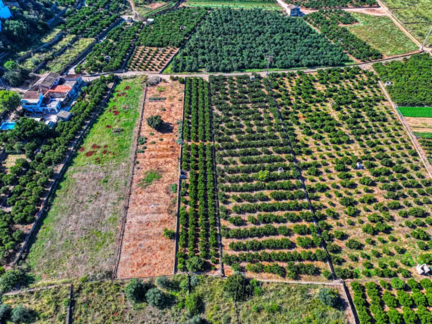 Finca/Landehus til salg i Pego - € 69.000 (Ref: 9399651)