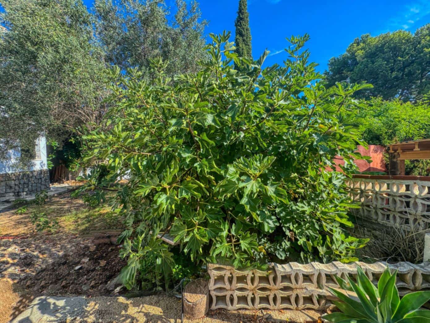 4 soverom Villa til salgs i Denia med svømmebasseng garasje - € 790 000 (Ref: 9403193)