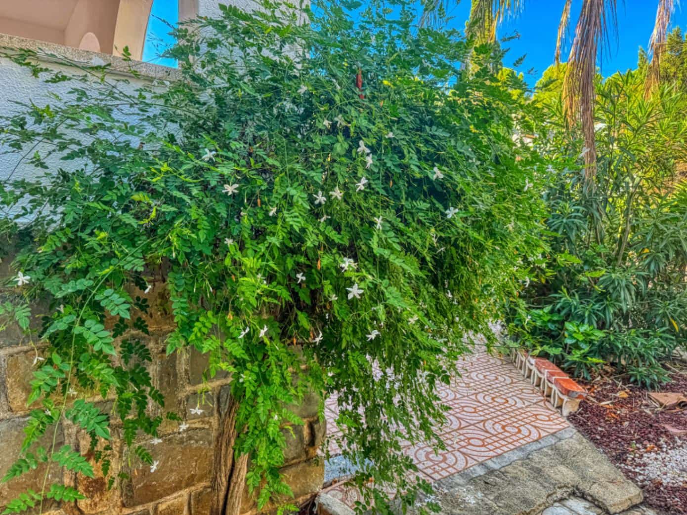 4 soverom Villa til salgs i Denia med svømmebasseng garasje - € 790 000 (Ref: 9403193)