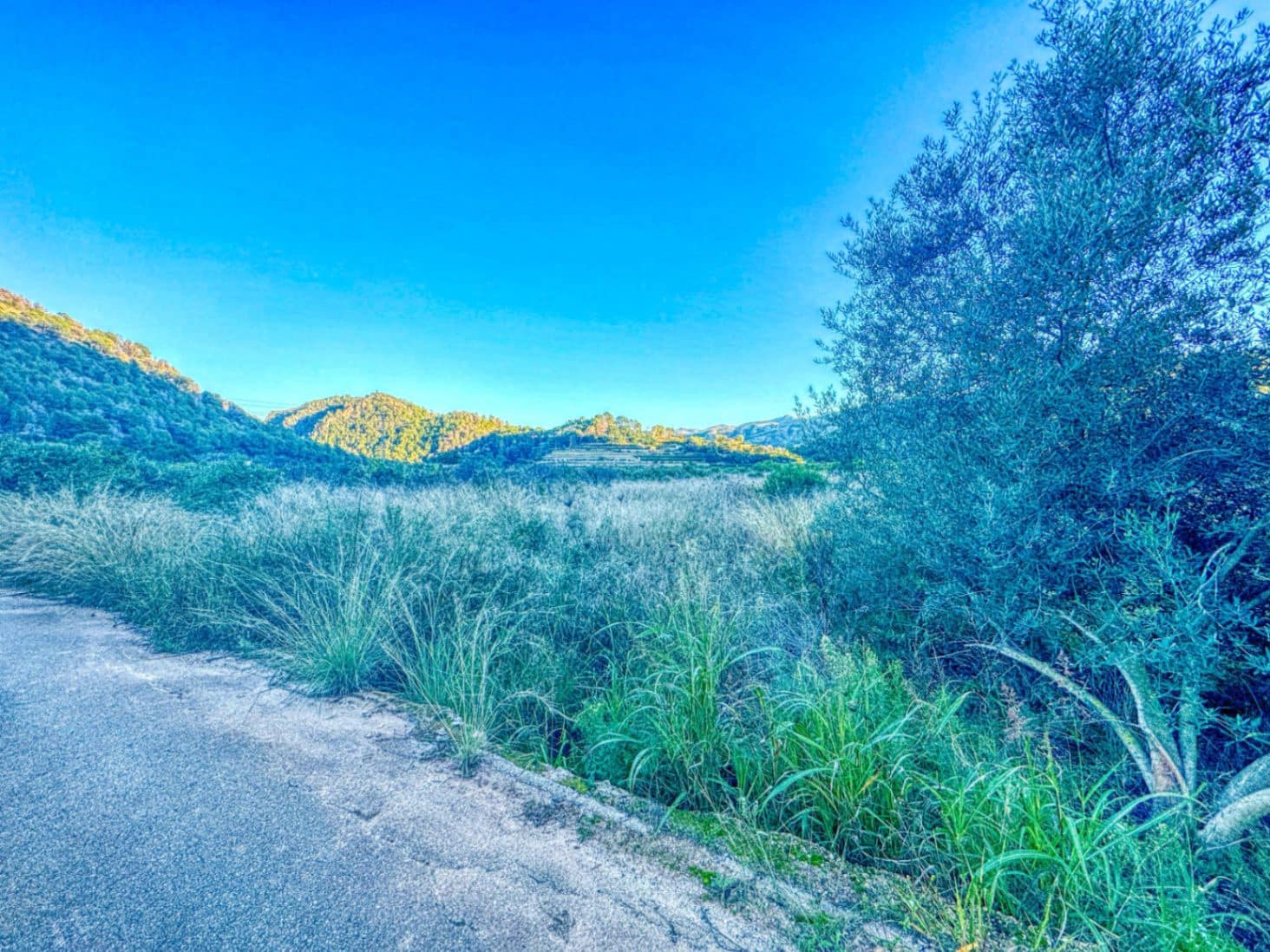 Bouwgrond te koop in L'Atzuvia - € 34.000 (Ref: 9441669)