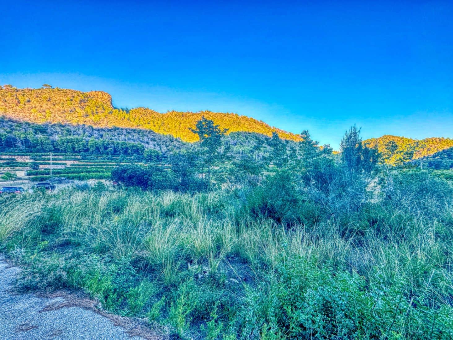 Bouwgrond te koop in L'Atzuvia - € 34.000 (Ref: 9441669)