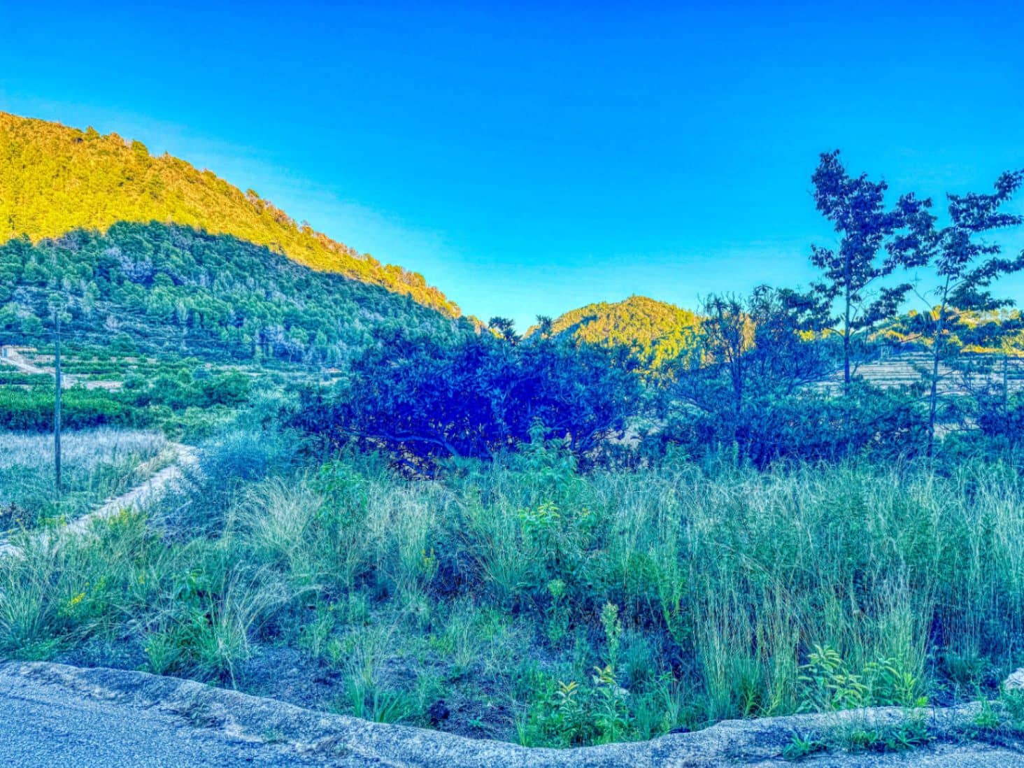 Bouwgrond te koop in L'Atzuvia - € 34.000 (Ref: 9441669)