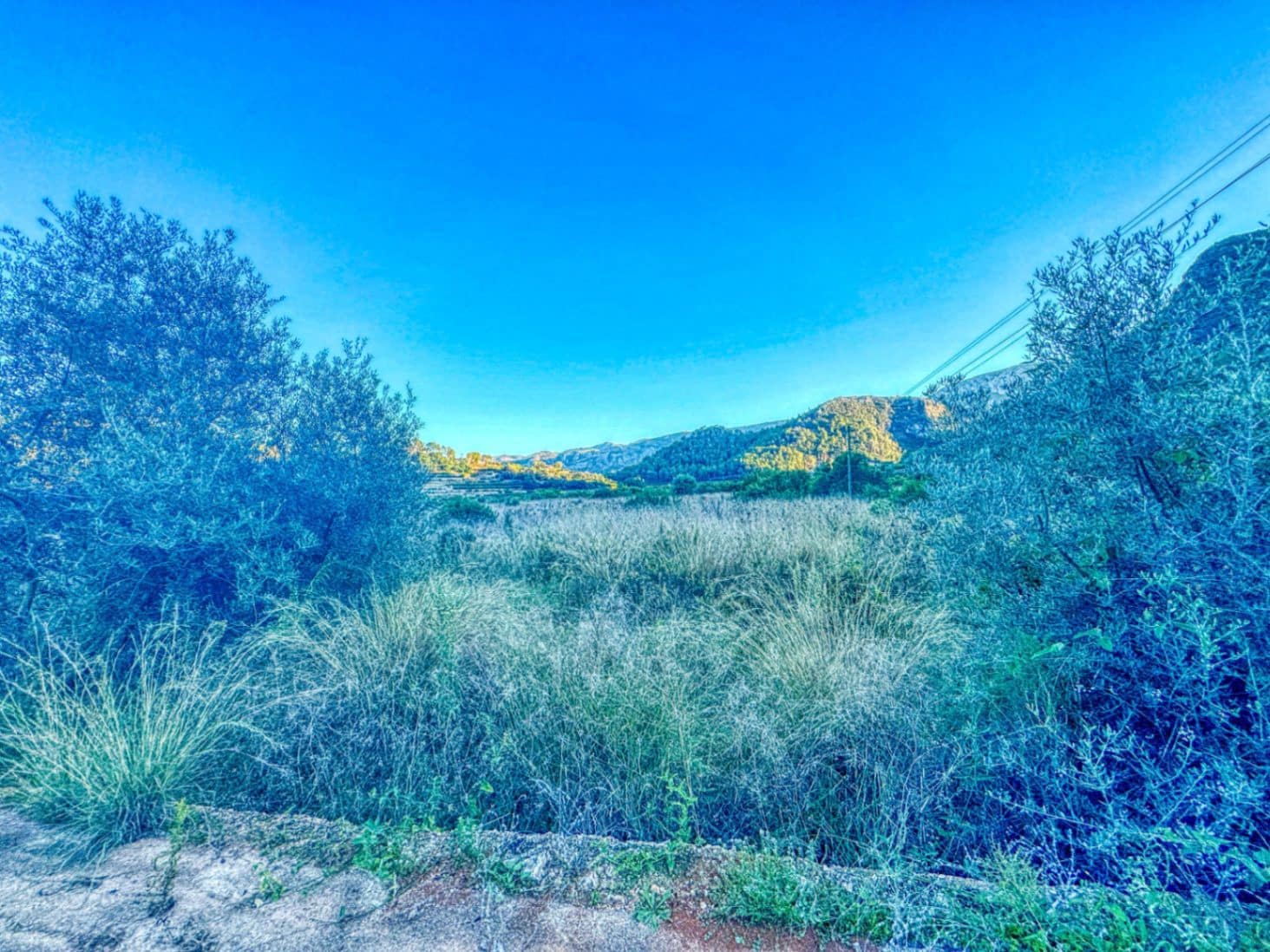 Bouwgrond te koop in L'Atzuvia - € 34.000 (Ref: 9441669)