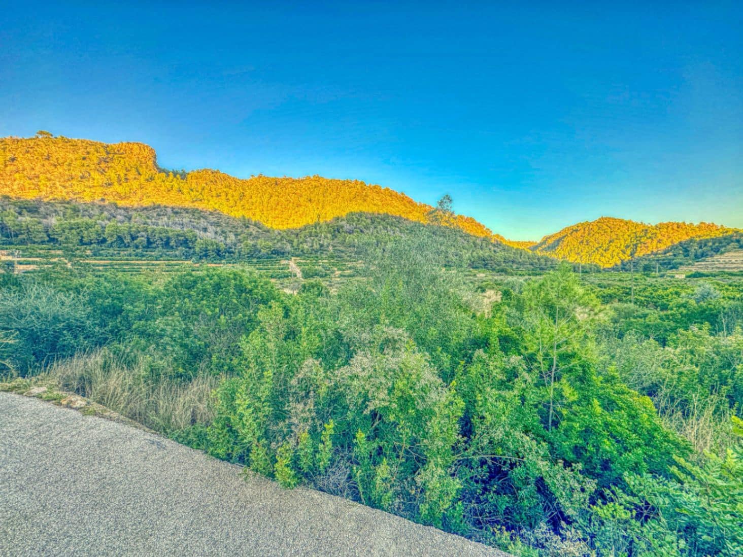 Bouwgrond te koop in L'Atzuvia - € 34.000 (Ref: 9441669)