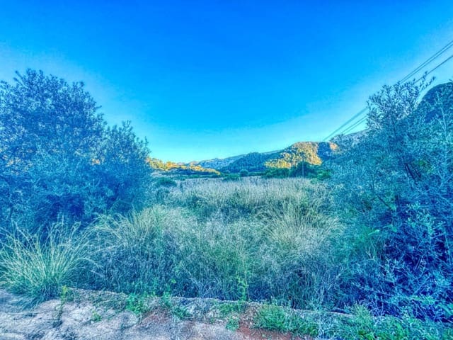 Byggegrund til salg i L'Atzúvia - € 34.000 (Ref: 9441669)