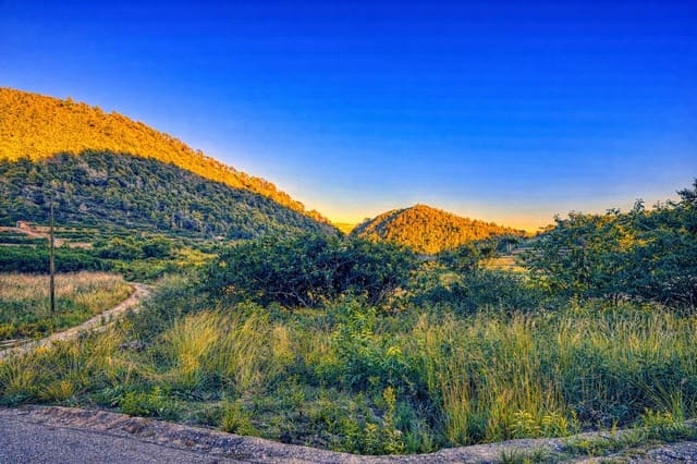 Byggegrund til salg i L'Atzúvia - € 34.000 (Ref: 9441669)