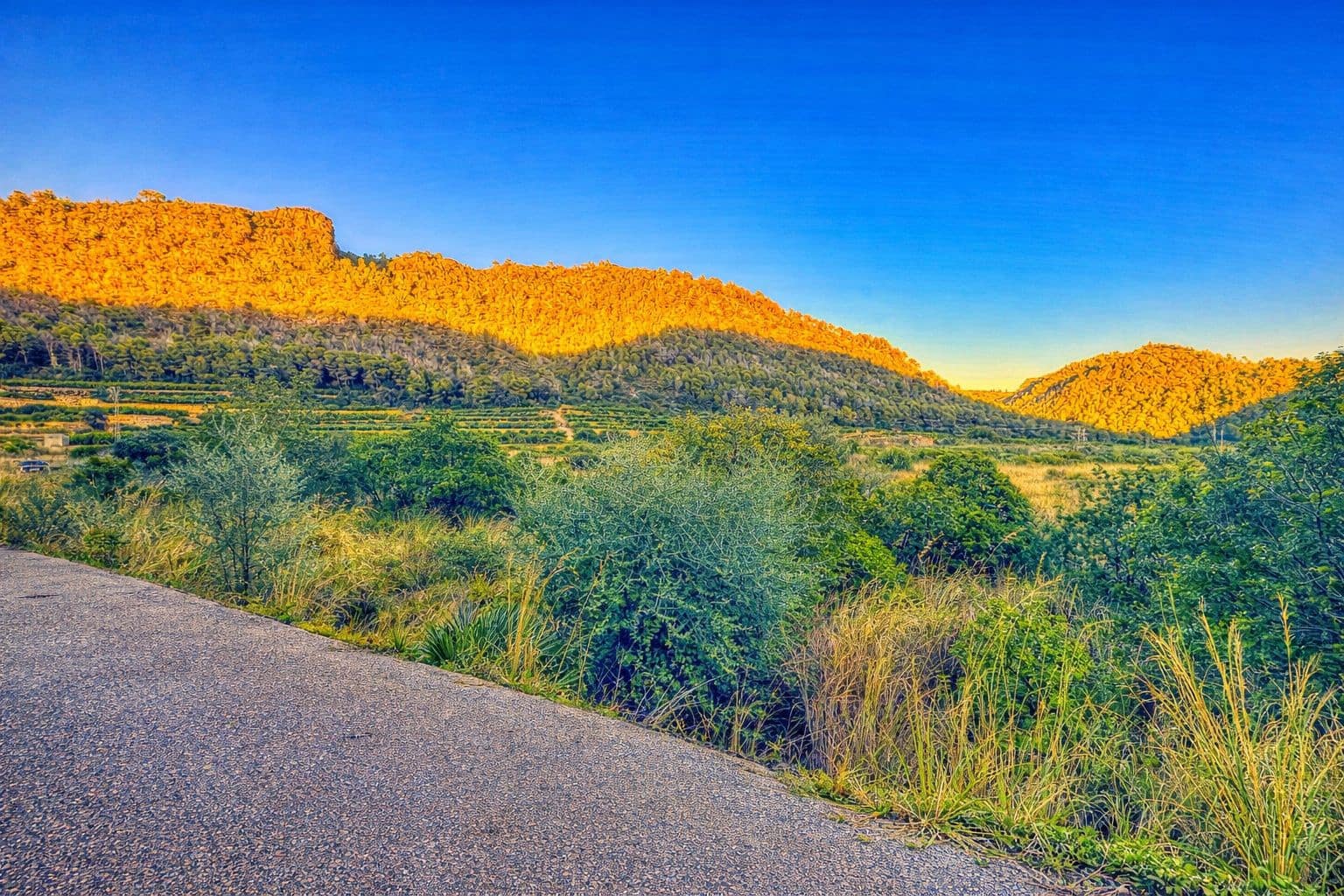 Byggegrund til salg i L'Atzuvia - € 34.000 (Ref: 9441669)