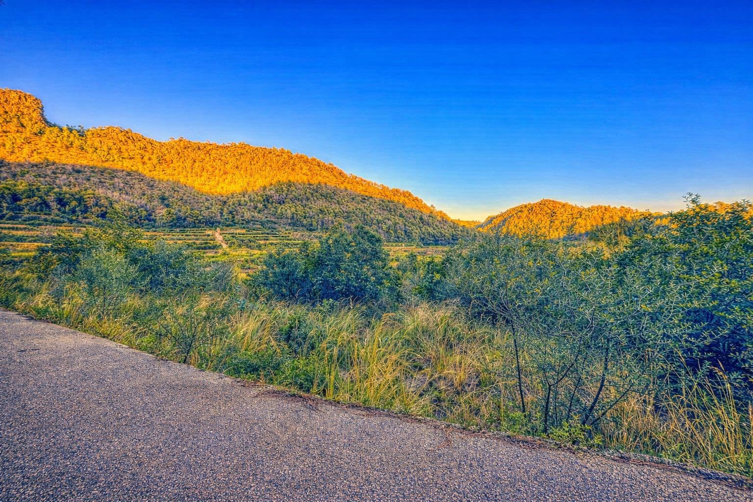 Byggegrund til salg i L'Atzuvia - € 34.000 (Ref: 9441669)