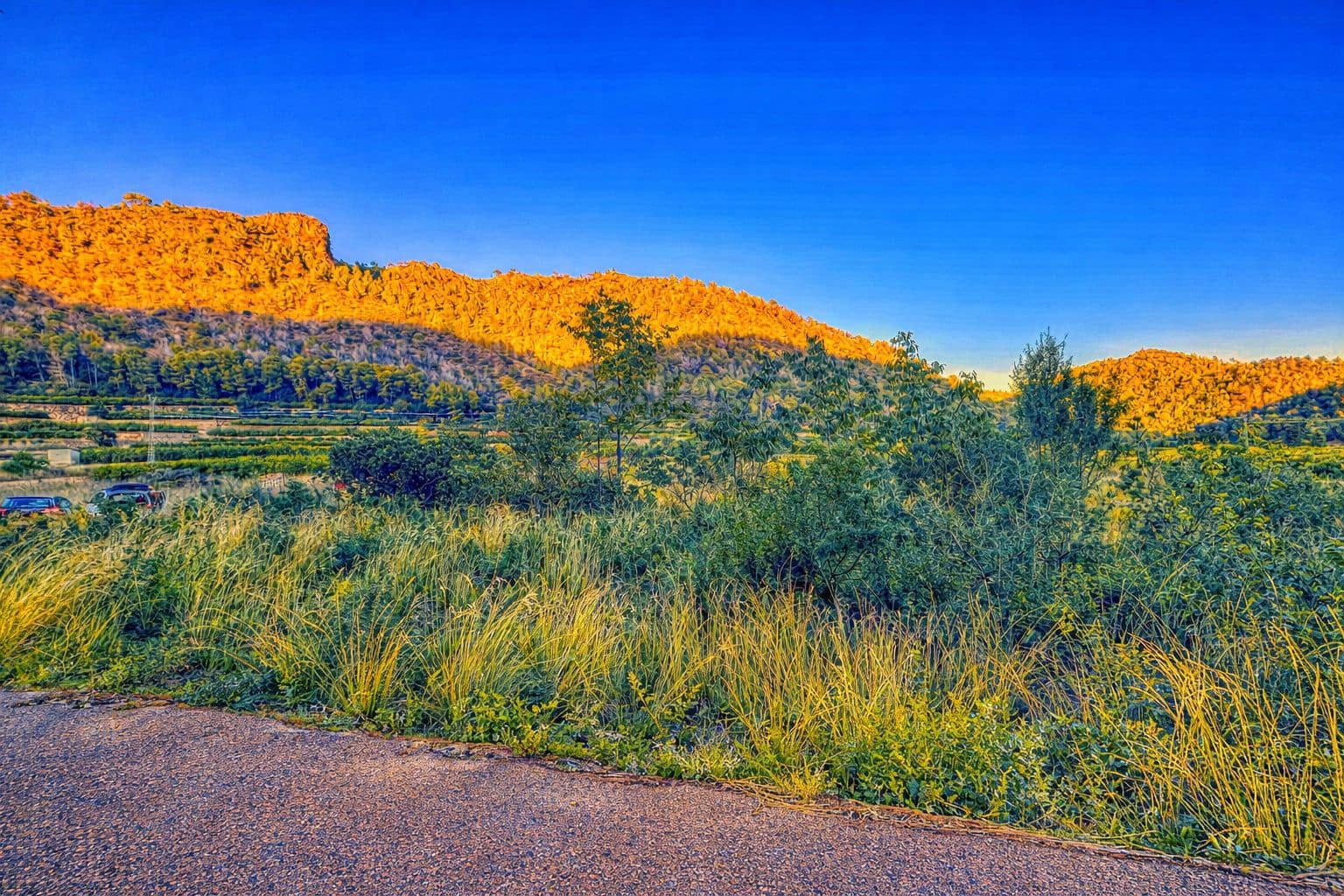 Byggegrund til salg i L'Atzuvia - € 34.000 (Ref: 9441669)