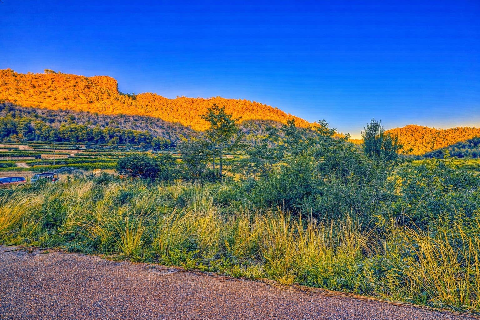 Byggegrund til salg i L'Atzuvia - € 34.000 (Ref: 9441669)