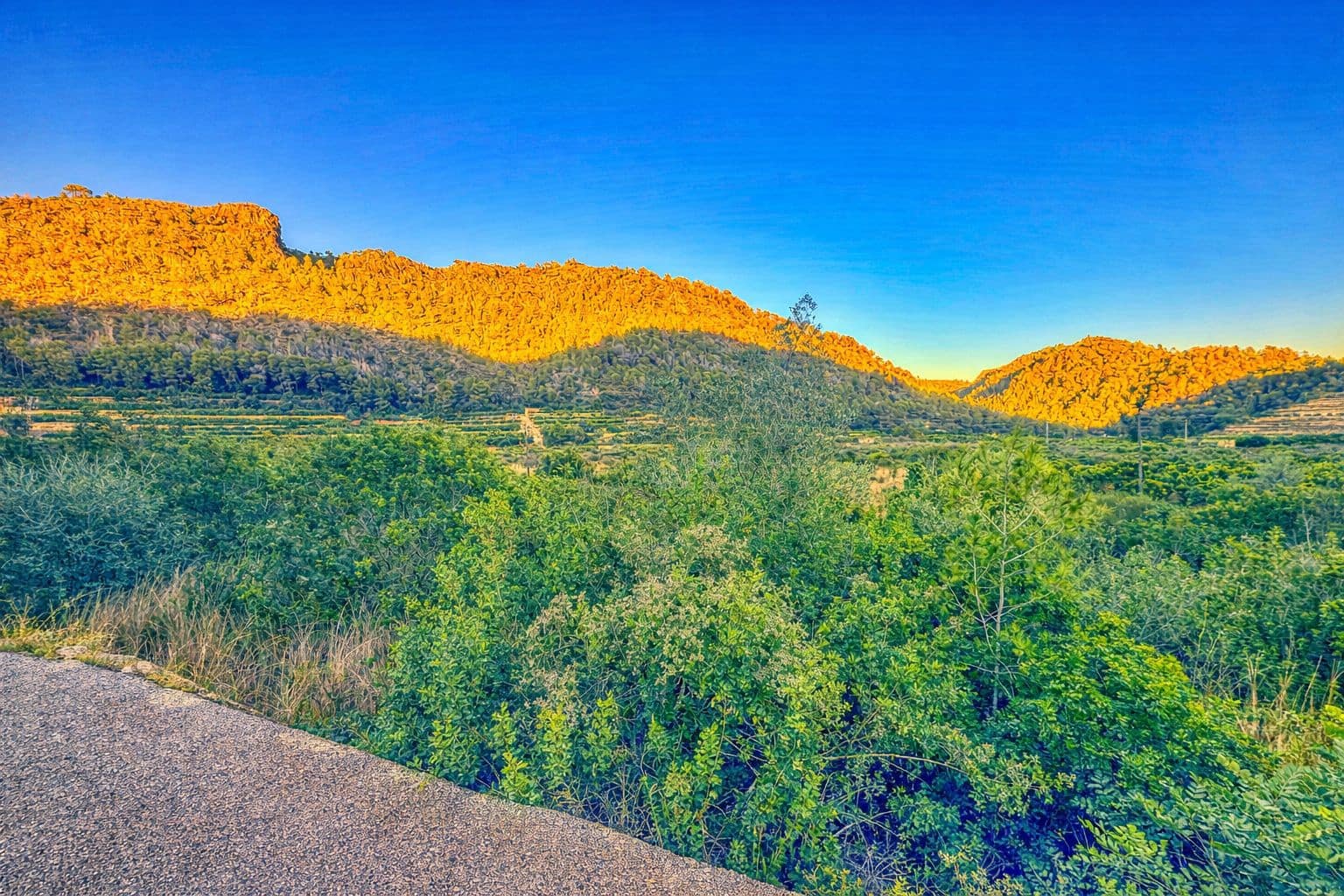 Byggegrund til salg i L'Atzuvia - € 34.000 (Ref: 9441669)