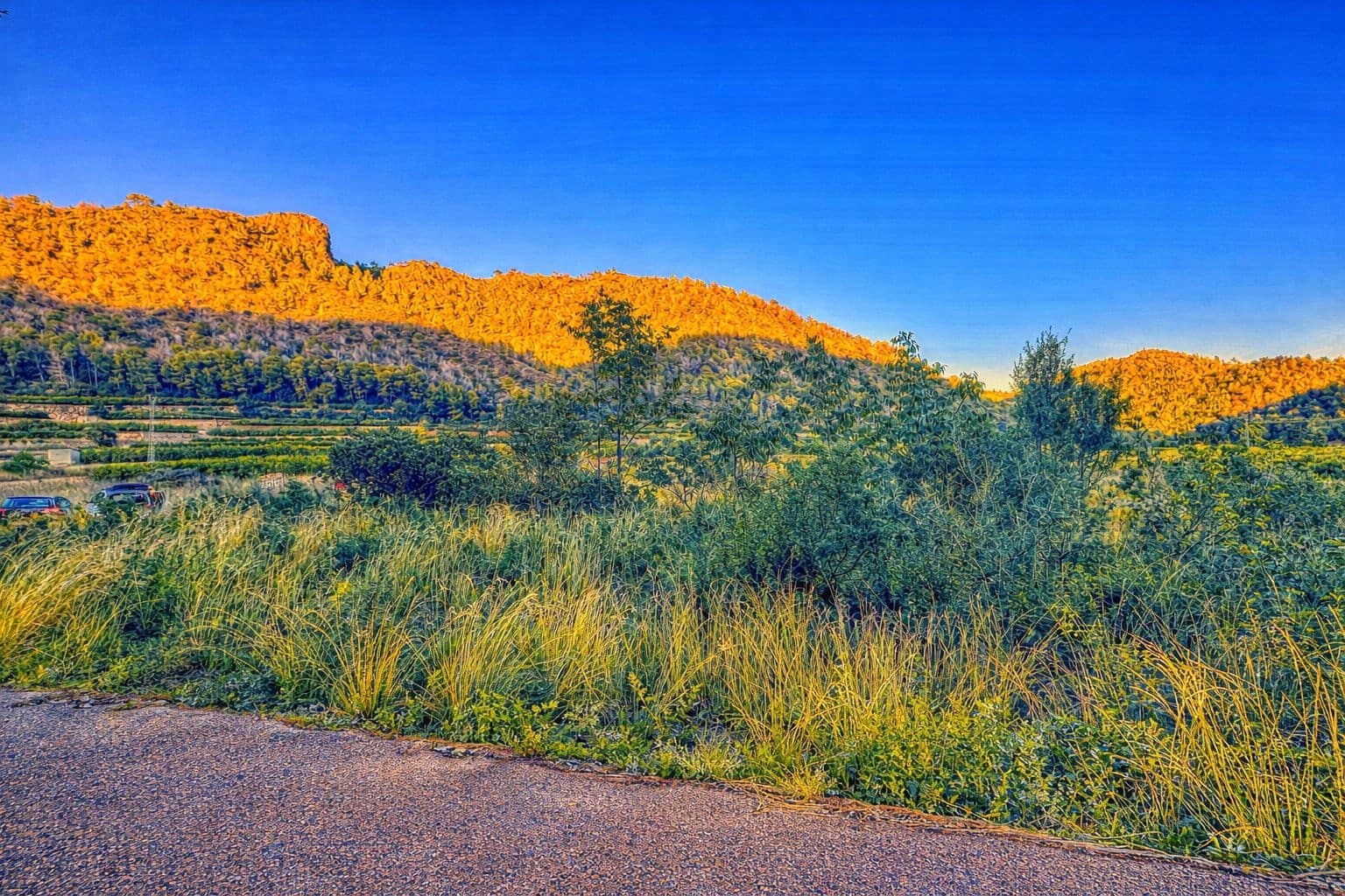 Byggegrund til salg i L'Atzuvia - € 34.000 (Ref: 9441669)