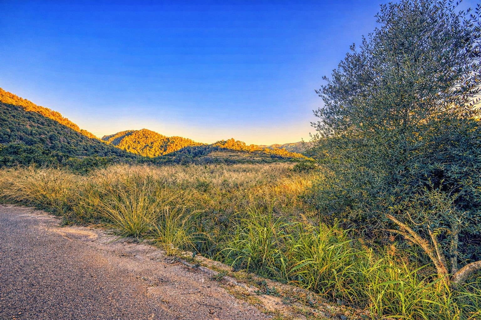 Byggegrund til salg i L'Atzuvia - € 34.000 (Ref: 9441669)