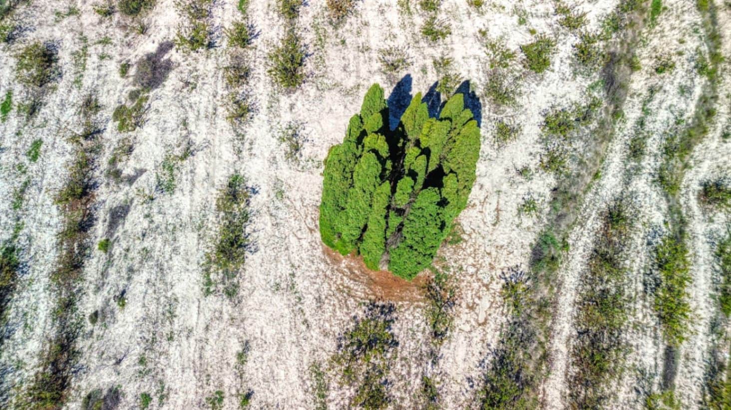 8 soveværelse Finca/Landehus til salg i Planes med swimmingpool garage - € 450.000 (Ref: 9451479)