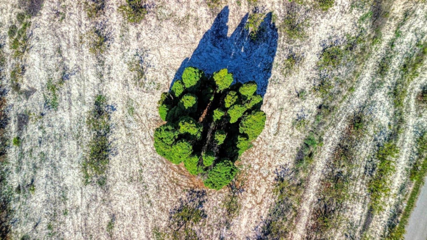 8 soveværelse Finca/Landehus til salg i Planes med swimmingpool garage - € 450.000 (Ref: 9451479)