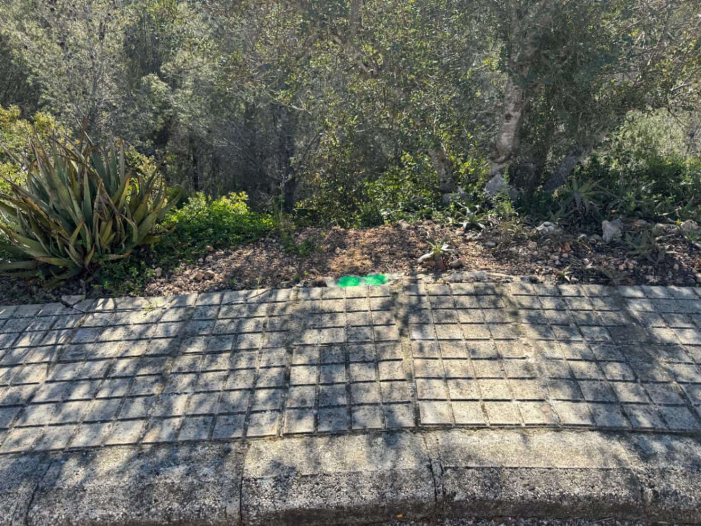 Solar/Parcela en La Font d'En Carròs en venta - 50.000 € (Ref: 9453028)