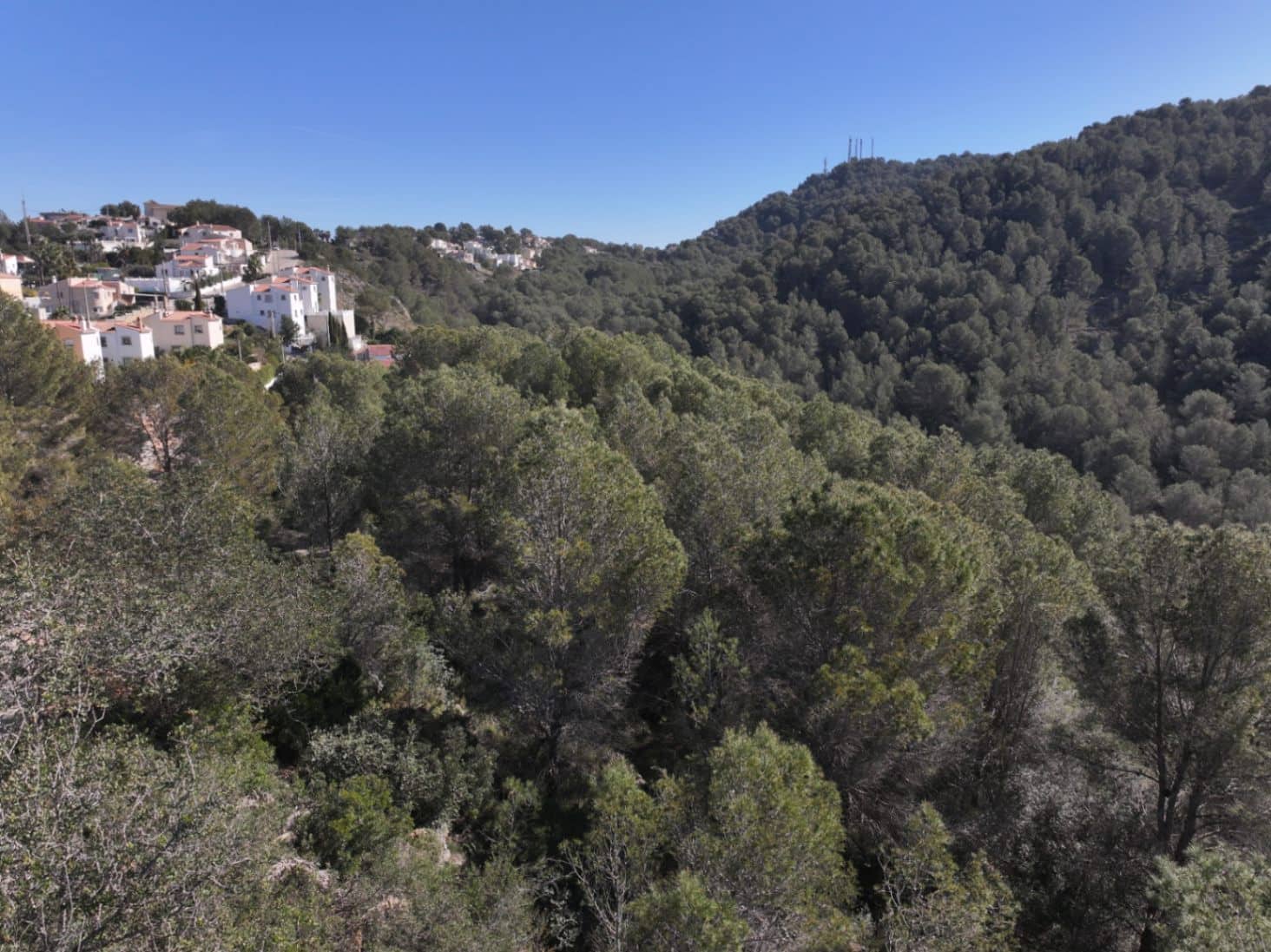 Solar/Parcela en La Font d'En Carròs en venta - 50.000 € (Ref: 9453028)