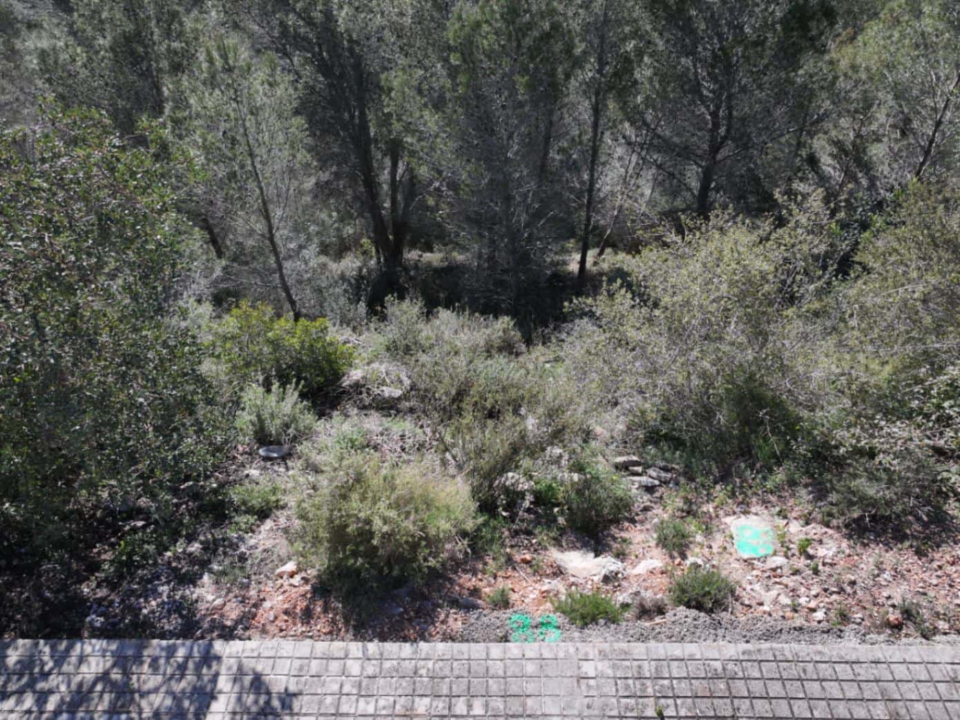 Solar/Parcela en La Font d'En Carròs en venta - 50.000 € (Ref: 9453028)