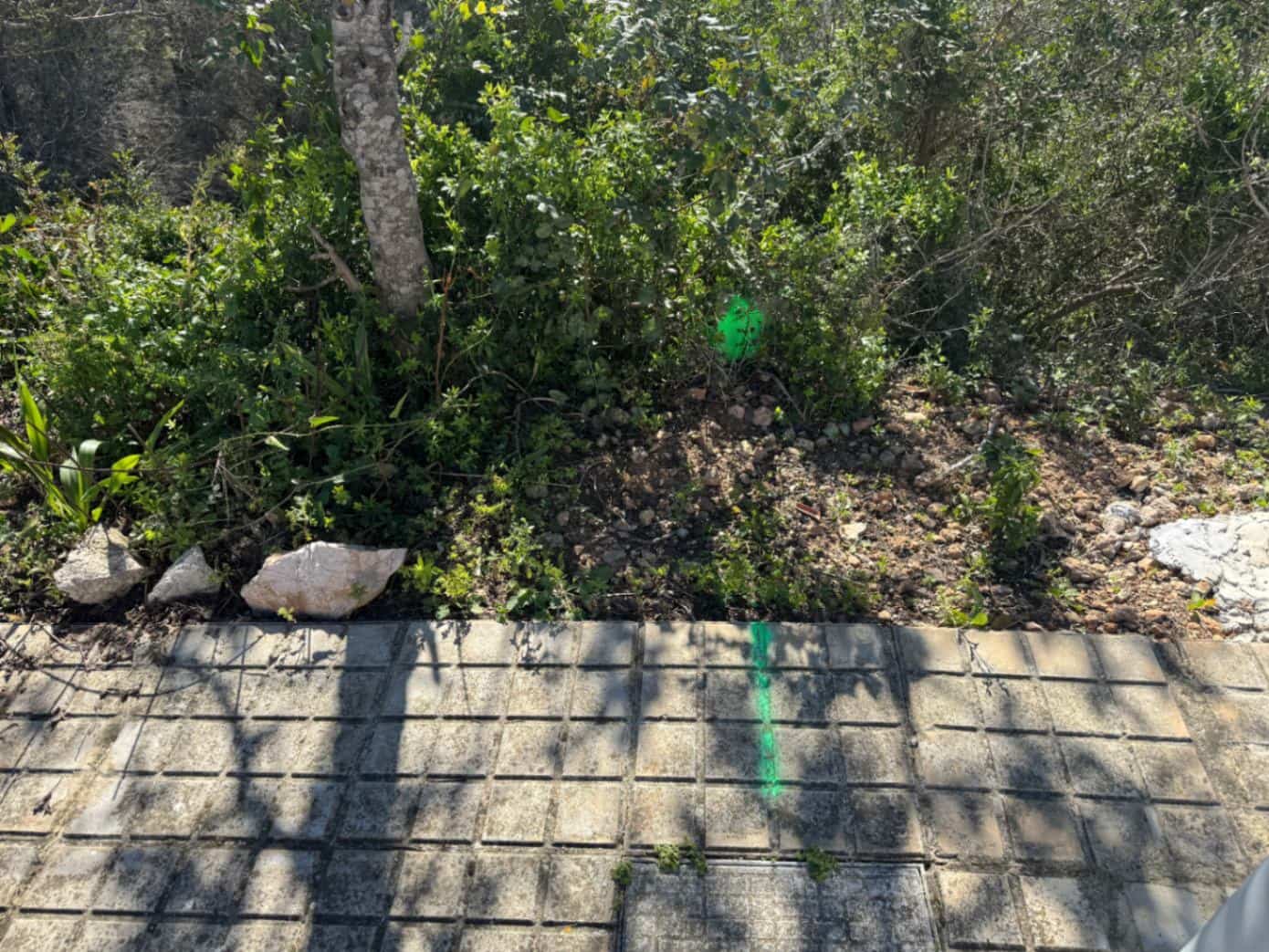 Solar/Parcela en La Font d'En Carròs en venta - 50.000 € (Ref: 9453028)