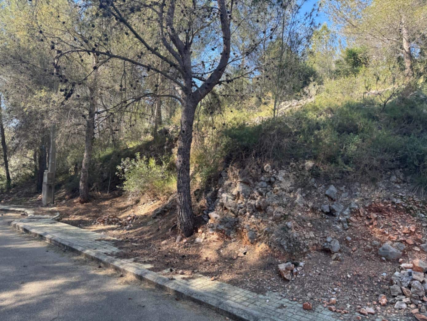 Solar/Parcela en La Font d'En Carròs en venta - 50.000 € (Ref: 9453028)