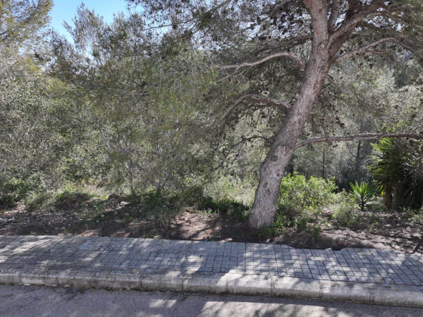 Solar/Parcela en La Font d'En Carròs en venta - 50.000 € (Ref: 9453028)