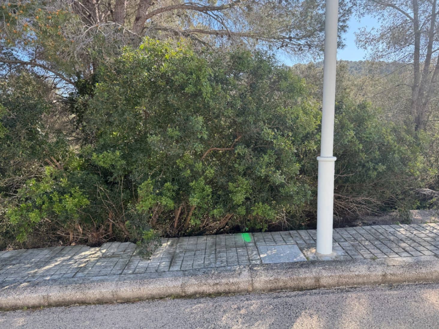 Solar/Parcela en La Font d'En Carròs en venta - 50.000 € (Ref: 9453028)